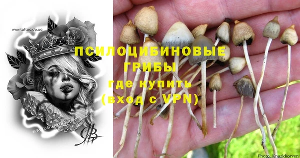стаф Снежинск