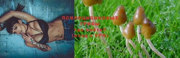 твердый Бугульма